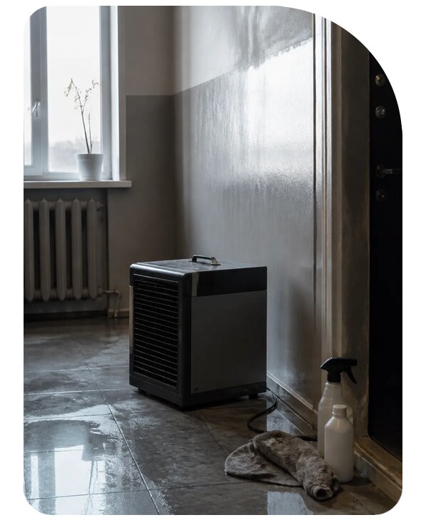 Устранение запаха гнили в квартире в Уссурийске по цене от 5155 р. | Сенат-Сср